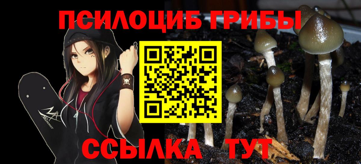 Алушта  Псилоцибиновые грибы Cubensis  Вход с VPN  Псилоцибиновые грибы Magic Shrooms 